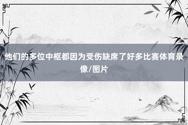 他们的多位中枢都因为受伤缺席了好多比赛体育录像/图片