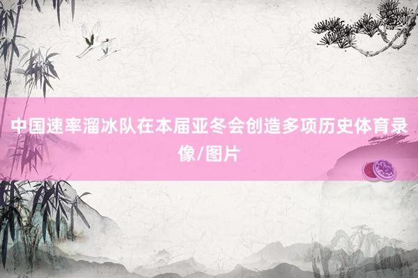 中国速率溜冰队在本届亚冬会创造多项历史体育录像/图片