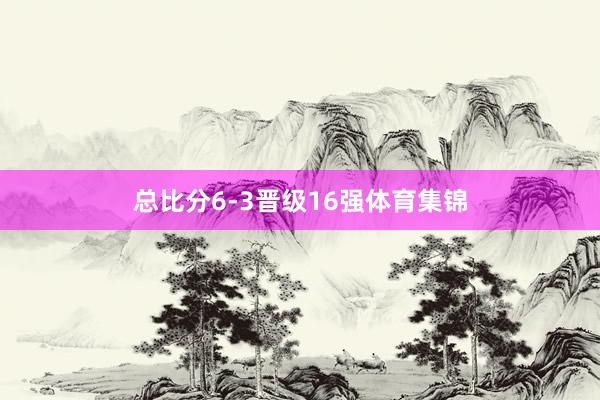 总比分6-3晋级16强体育集锦