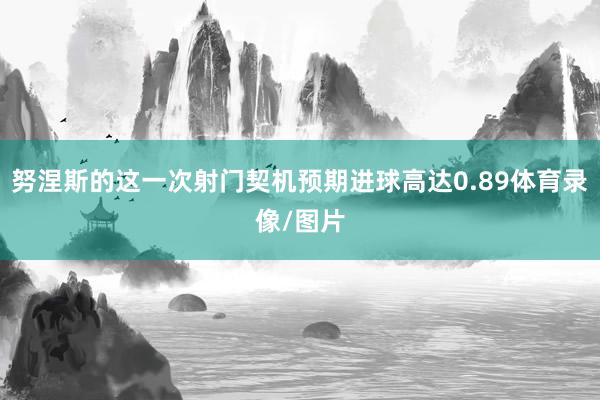 努涅斯的这一次射门契机预期进球高达0.89体育录像/图片