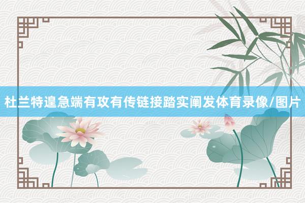 杜兰特遑急端有攻有传链接踏实阐发体育录像/图片