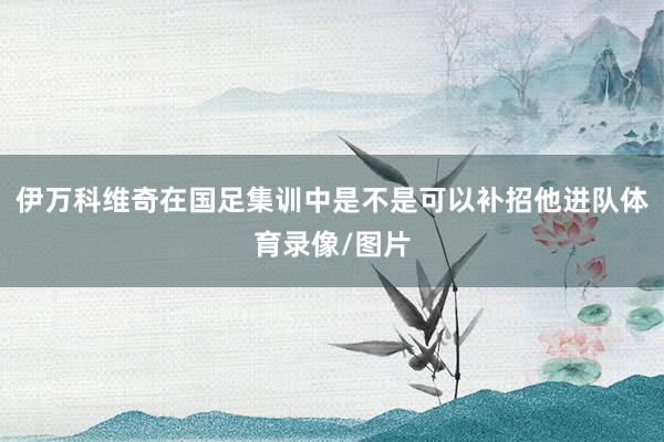 伊万科维奇在国足集训中是不是可以补招他进队体育录像/图片